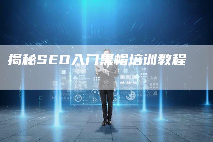 揭秘SEO入门黑帽培训教程