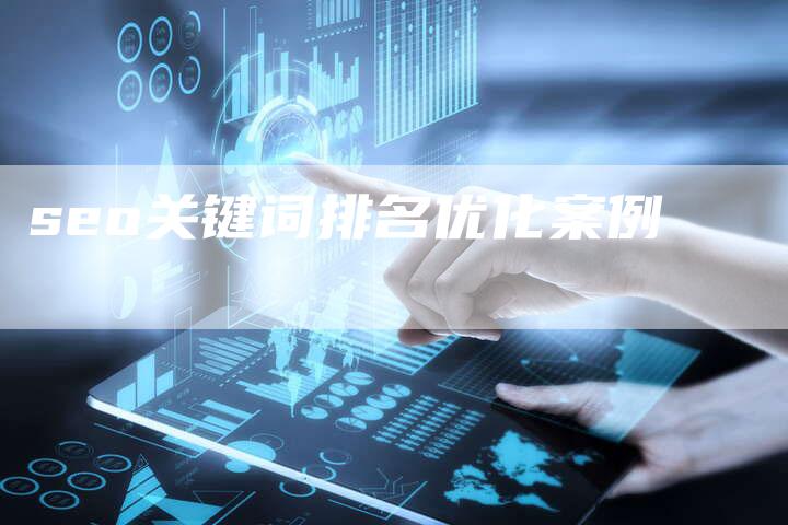 seo关键词排名优化案例