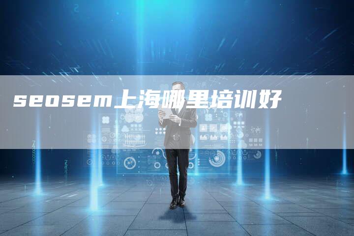 seosem上海哪里培训好