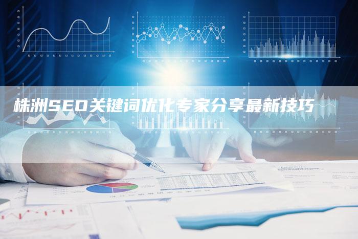 株洲SEO关键词优化专家分享最新技巧